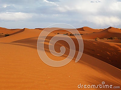 Desert at Merzouga Stock Photo