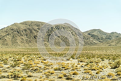 Desert and mountain landscape view in Nevada. Stock Photo