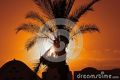 Desert Nights Stock Photo