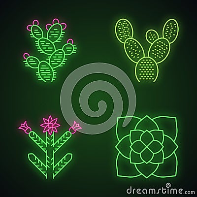 Desert plants neon light icons set Vector Illustration