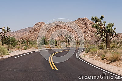 Desert road Stock Photo