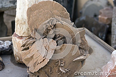 Desert rose gypsum crystals, Erfoud, Morocco Stock Photo