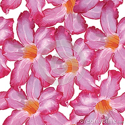Desert Rose pink flower. Seamless pattern. Sketch on a white background. vector Vector Illustration