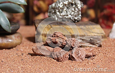 Desert Rose Rocks from Oklahoma on Australian Red Sand With Tigers Eye and Pyrite Stock Photo