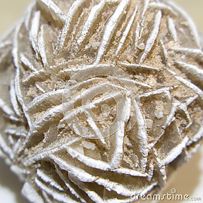 Desert rose rosette crystal closeup Stock Photo