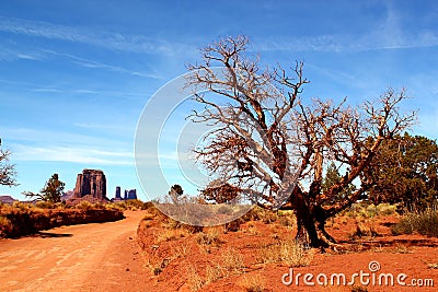 Desert sand road leading through Monument Valley in Arizon / Utah - beautiful sunny day Stock Photo