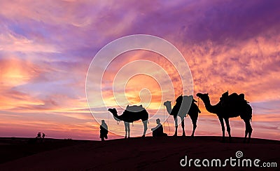 Desert scence with camel and dramatic sky Stock Photo