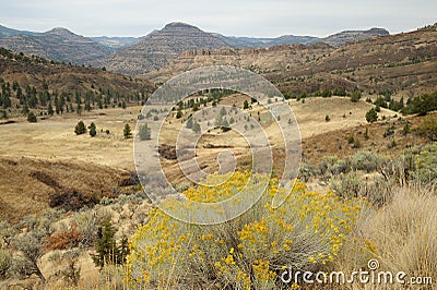 Desert scene Stock Photo