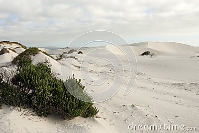 Desert scene with blue skies overhead Stock Photo