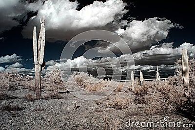 Desert Storm Stock Photo