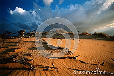 Desert sunset Stock Photo