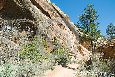 Desert Trail Stock Photo