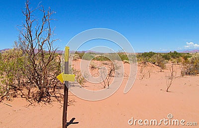 Desert trail and direction arrow sign Stock Photo