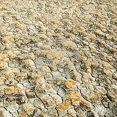 texture of dry land Stock Photo