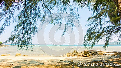 Deserted coast of the tropical sea with trees and rocks. Video 1080p - Deserted coast of the tropical sea with trees and rocks stock video Deserted coast of the tropical sea with trees and rocks. Video 1080p - Deserted coast of the tropical sea with trees and rocks stock video