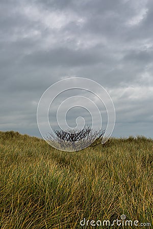 A deserted Embleton Bay in Northumberland, England, through the marram grass with cloudy skies overhead Stock Photo
