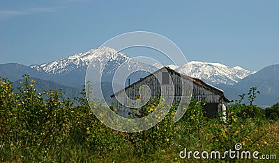 Deserted House Stock Photo