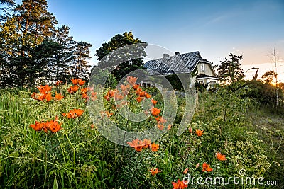 Deserted house on summer sun set Stock Photo