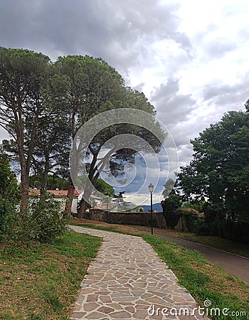 Deserted landscape with trees around a curved stone path. Highlight for the blue sky full of clouds that contrasts with the green Stock Photo