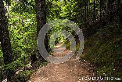 View of a Mountain Path through the Woods Stock Photo