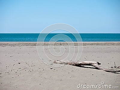 Deserted unspoilt beach with driftwood Stock Photo