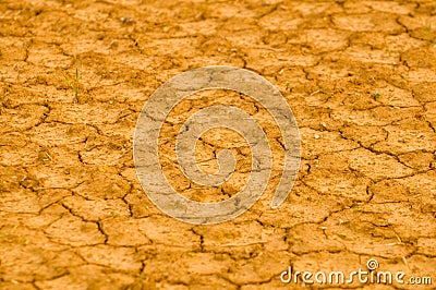 Deserted yellow dryland Stock Photo