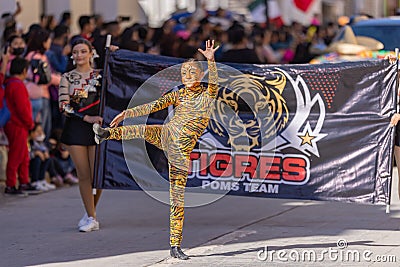 Desfile del 20 de Noviembre Editorial Stock Photo