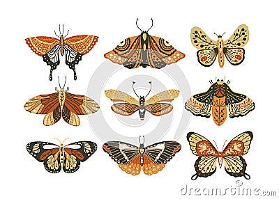 Design butterfly nature isolated insect vector art. Vector Illustration