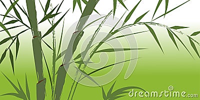 Design of chinese bamboo trees Vector Illustration