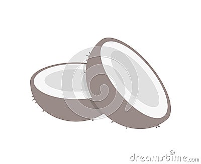 Design of coconut flat illustration Vector Illustration