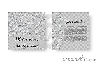 Design with drops of dew Vector Illustration
