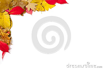 Design element. Corner frame of fallen leaves Stock Photo