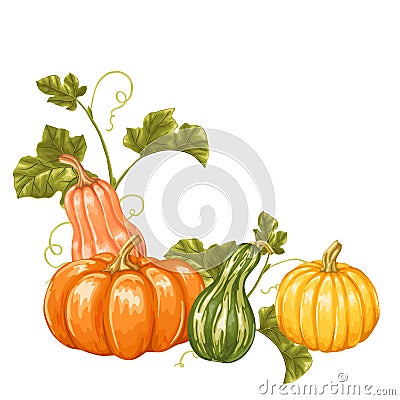 Design element with pumpkins. Decorative ornament from vegetables and leaves Vector Illustration