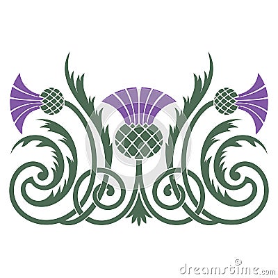 Design of leaves and flowers of the Thistle in Celtic style Vector Illustration