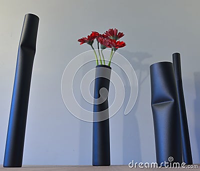 Design pieces, beautiful modern Flower Vase. Editorial Stock Photo