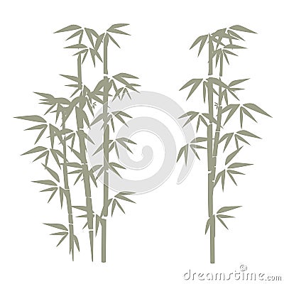 Bamboo illustration. Design for prints, asian spa and massage, cosmetics package, materials. Vector Illustration