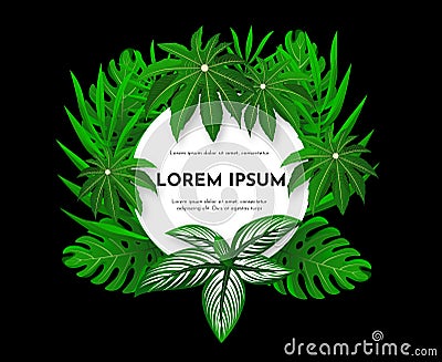 Design of template of banner, card with various tropical green leaves on black background. Vector illustration Vector Illustration