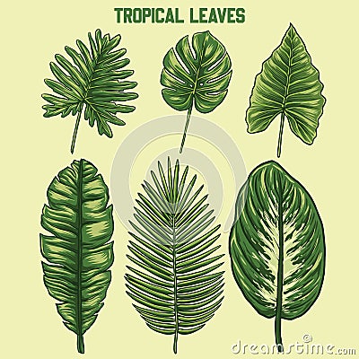 Design vrctor set tropical leaves Vector Illustration