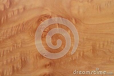 Design of wood texture Stock Photo