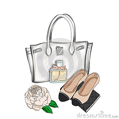 Designer bag and flat shoes Cartoon Illustration