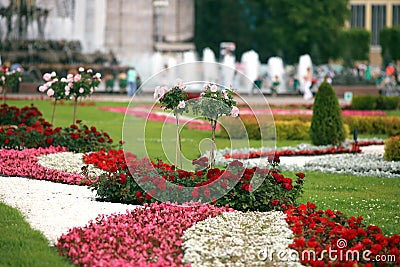 Designer flower beds in city Park Stock Photo
