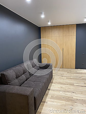 Designer gray sofa in the hall Stock Photo