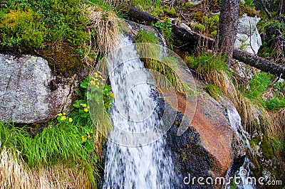 A desirable waterfall in nature in the woods Stock Photo