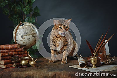 Desktop of the sorceress McGonagall at Hogwarts school. She turned into a cat. Antique items, books and manuscripts on a dark Stock Photo
