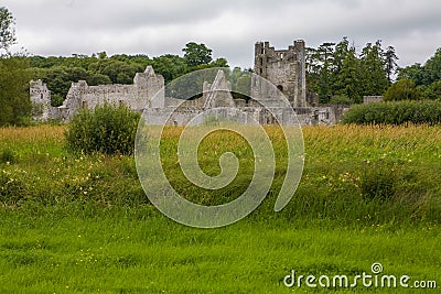 Desmond Castle ruins in Adare, Limerick, Ireland Stock Photo