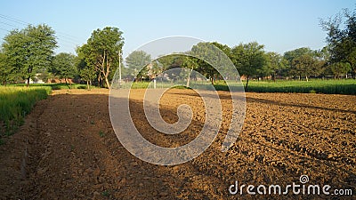 Desolate desert field without crop in North India. Great contraction in Indian agriculture economy due to farmer bill protest. Stock Photo