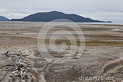 Desolated landscape with ashes after volcano eruption in Chaiten. Stock Photo