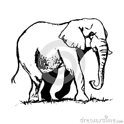 Dessin D'ensemble D'éléphant Illustration de Vecteur - Image: 70458617