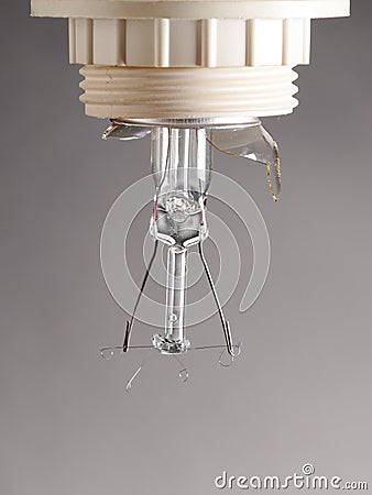 Destroyed bulb Stock Photo