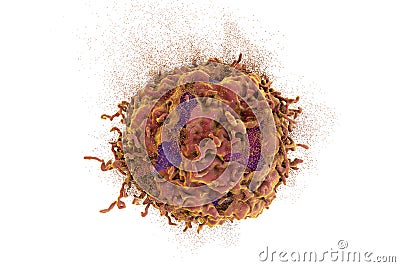 Destruction of cancer cell Cartoon Illustration